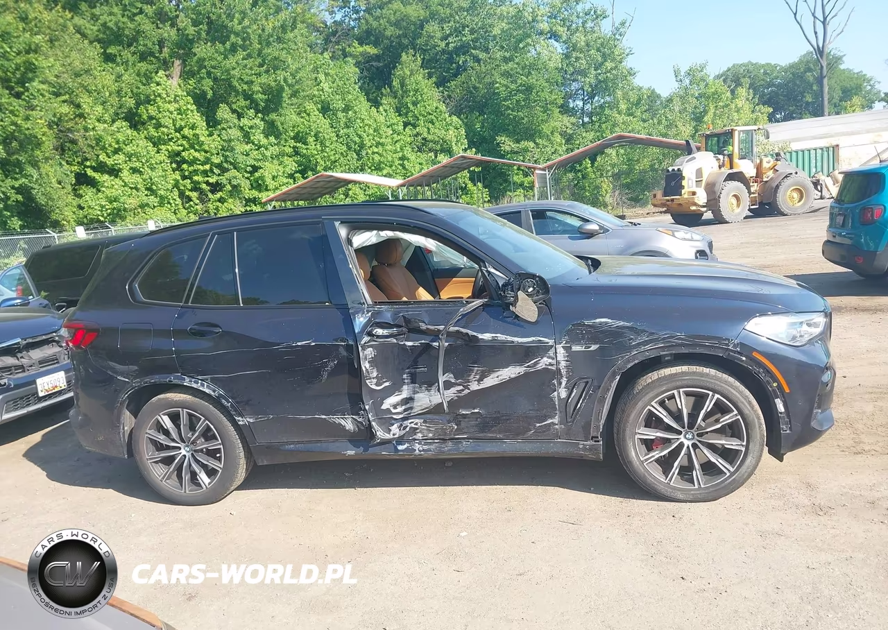 2023 BMW X5 Phev xDrive45E VIN:5UXTA6C09P9P62854 - 13