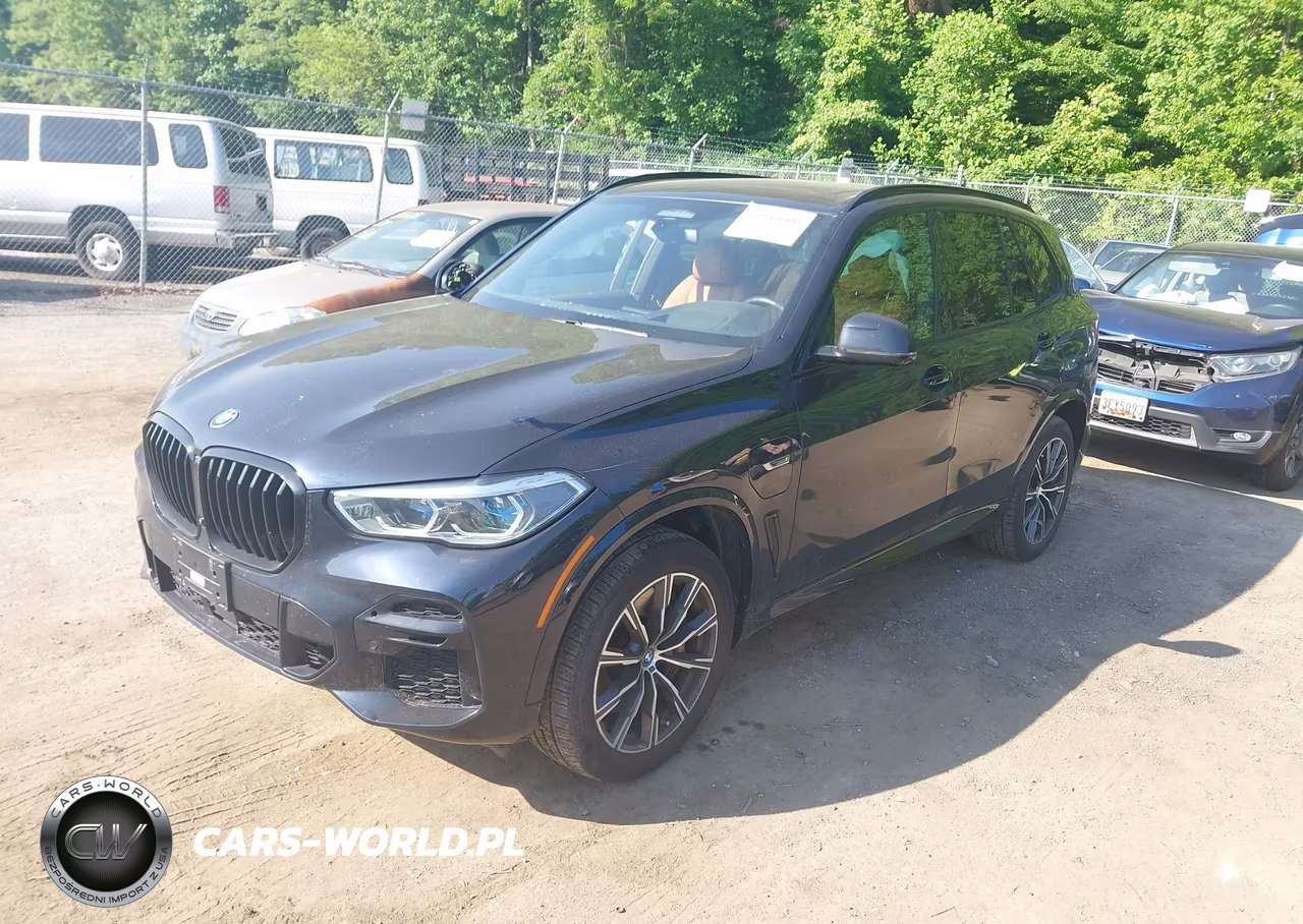 2023 BMW X5 Phev xDrive45E VIN:5UXTA6C09P9P62854 - 2
