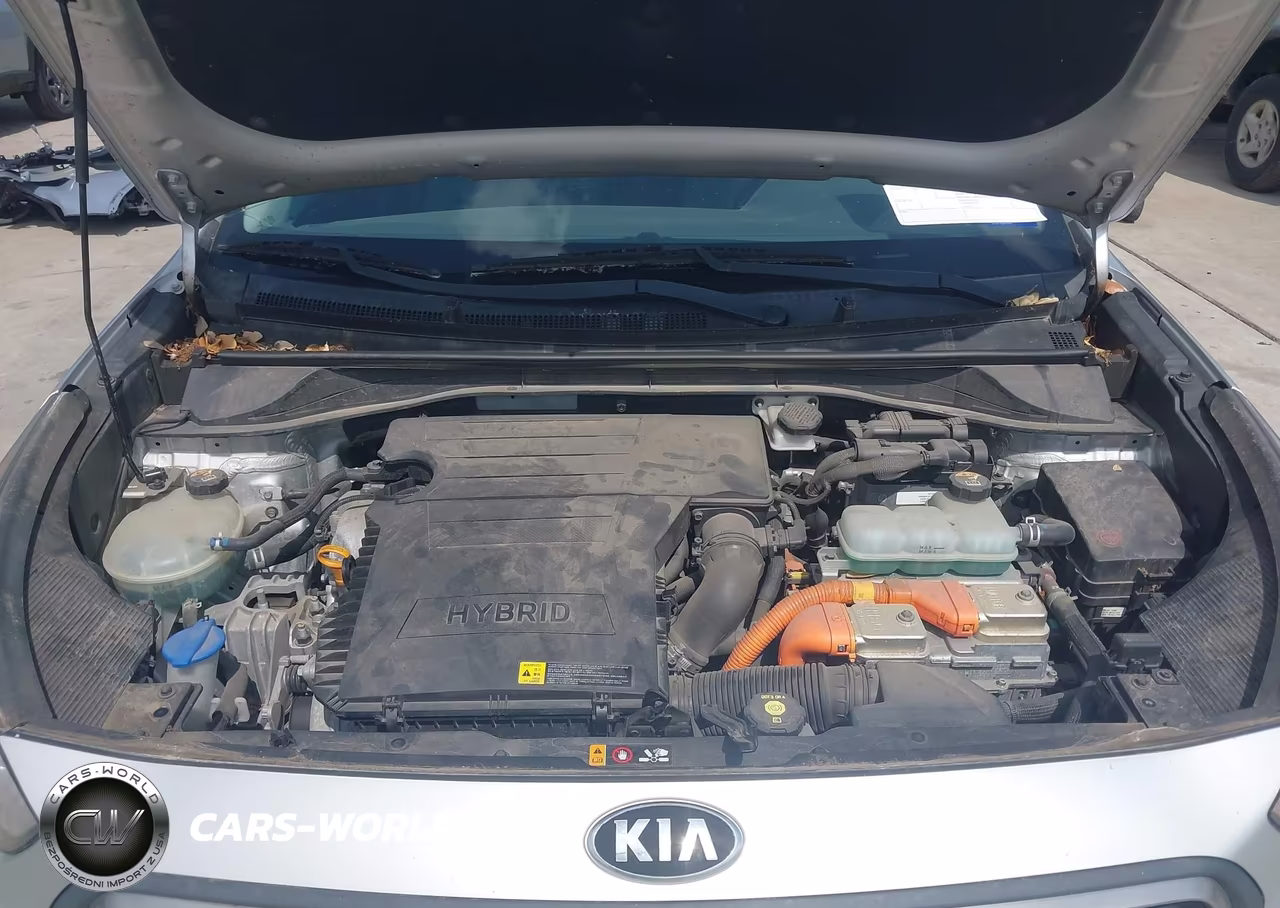 2019 Kia Niro Lx VIN:KNDCB3LC4K5257599 - 10