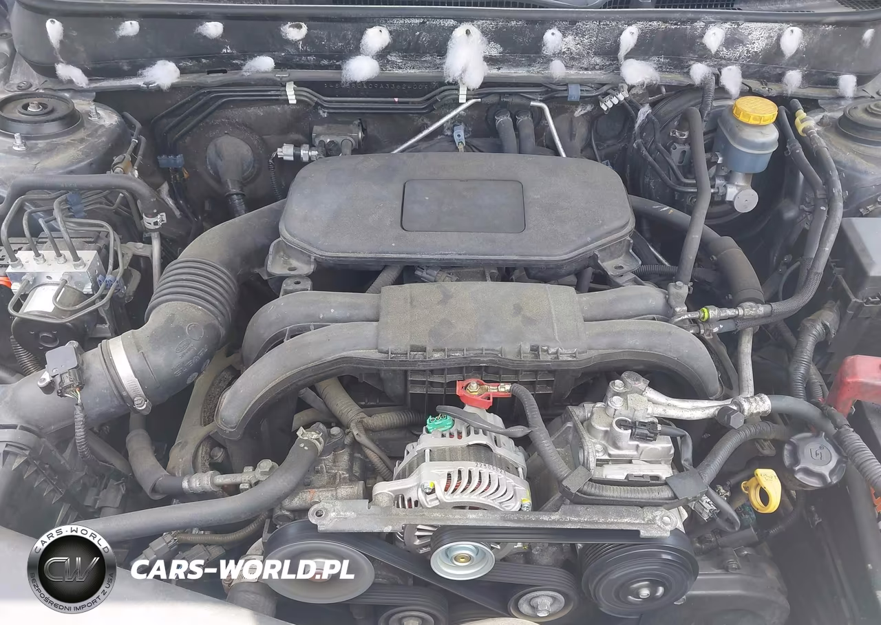 2010 Subaru Outback 2.5I VIN:4S4BRCAC9A3362400 - 10
