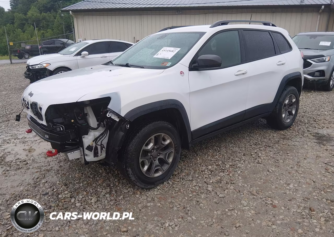 2019 Jeep Cherokee Trailhawk 4X4 VIN:1C4PJMBX6KD461776 - 2