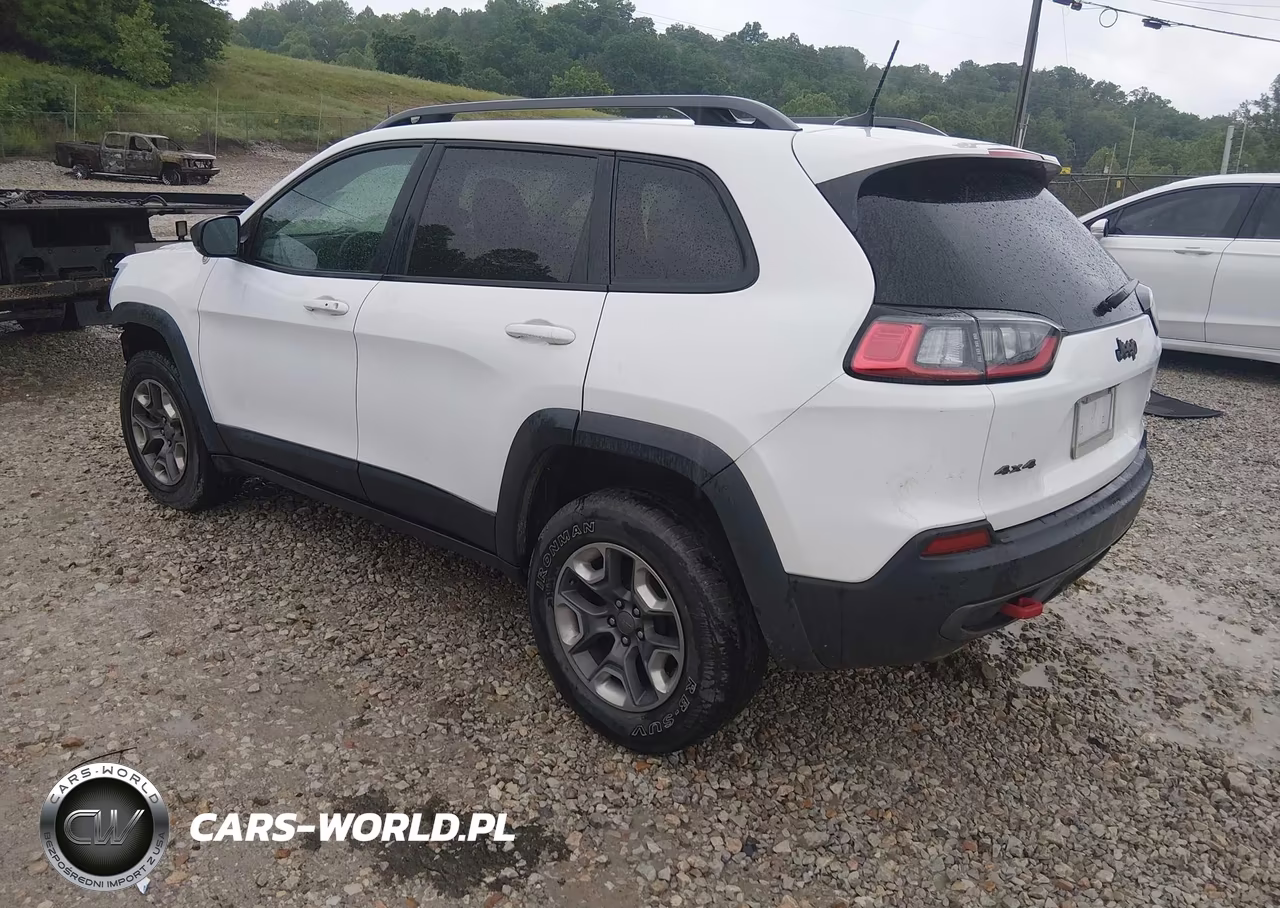 2019 Jeep Cherokee Trailhawk 4X4 VIN:1C4PJMBX6KD461776 - 3