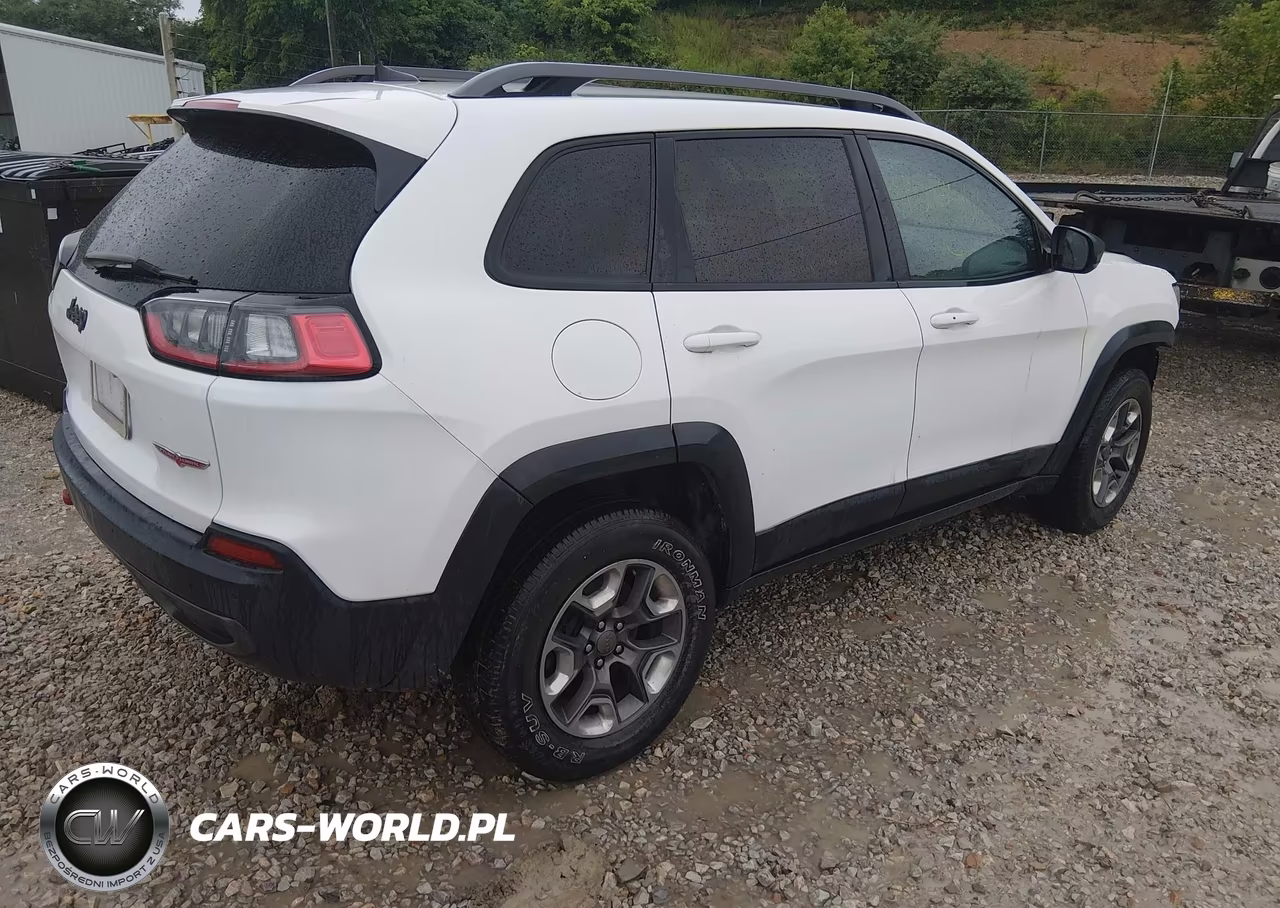 2019 Jeep Cherokee Trailhawk 4X4 VIN:1C4PJMBX6KD461776 - 4