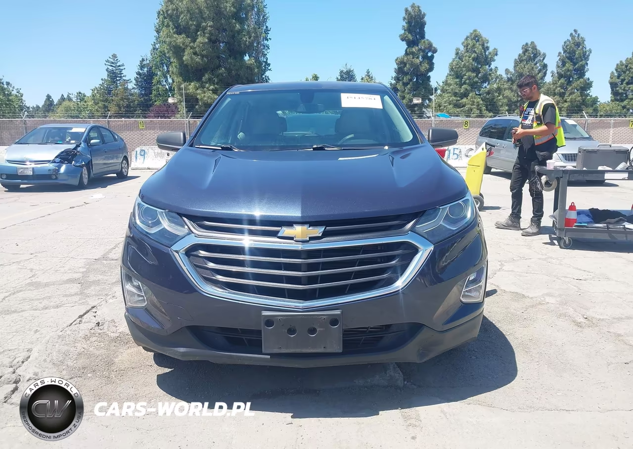 2018 Chevrolet Equinox Ls VIN:3GNAXHEV1JL127466 - 12
