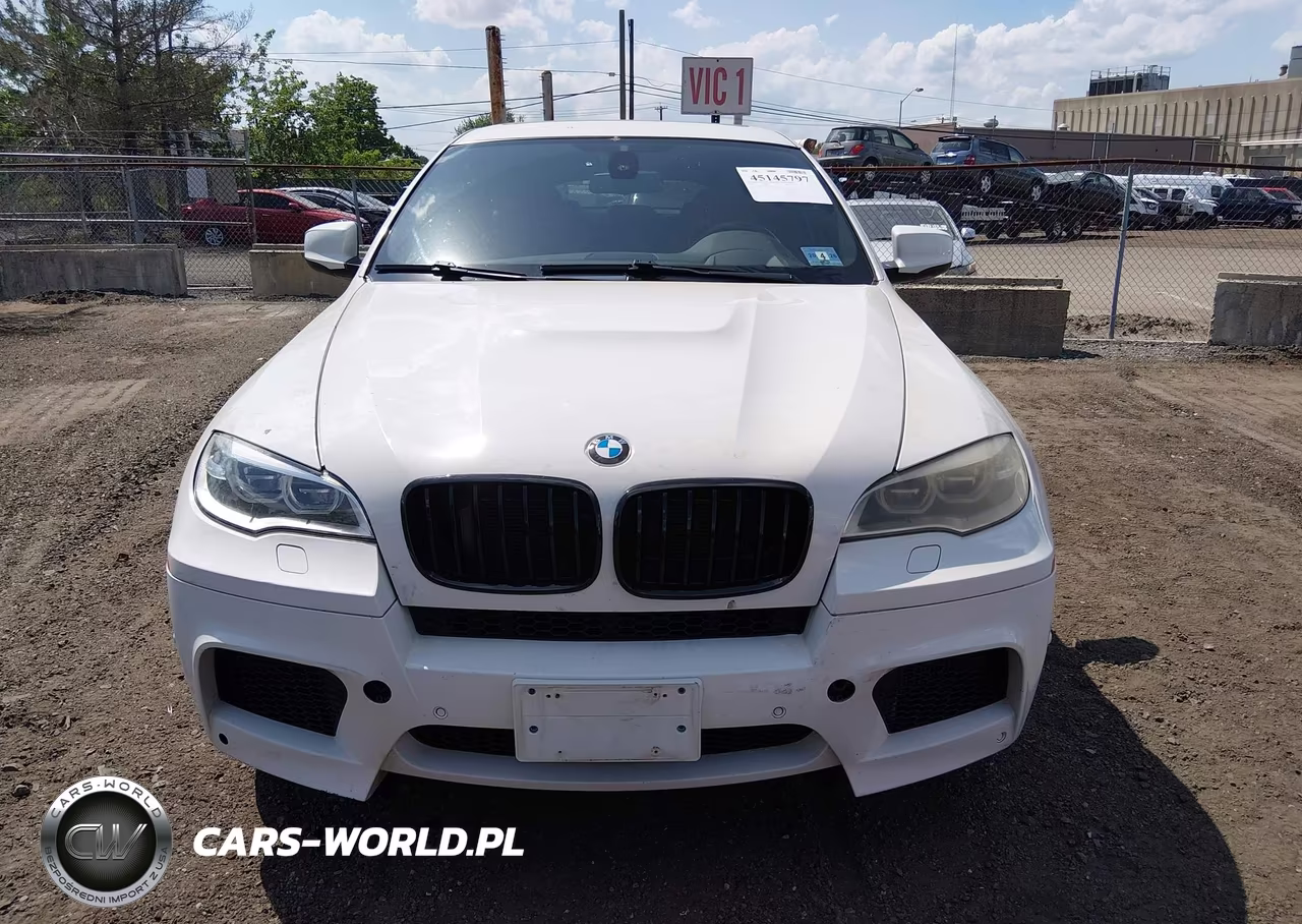 2013 BMW X6 M VIN:5YMGZ0C53DLL30190 - 12