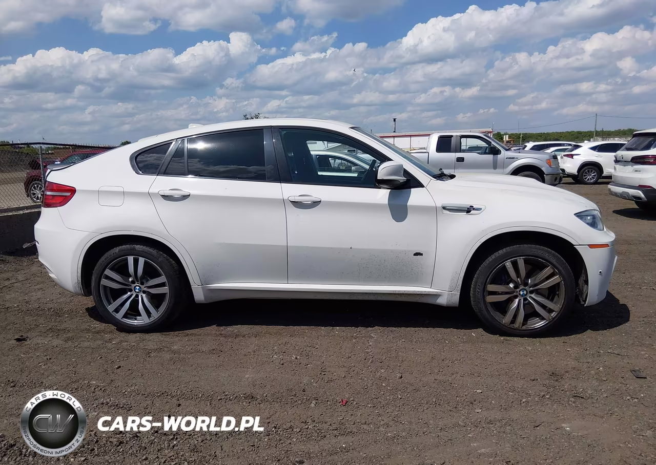 2013 BMW X6 M VIN:5YMGZ0C53DLL30190 - 13