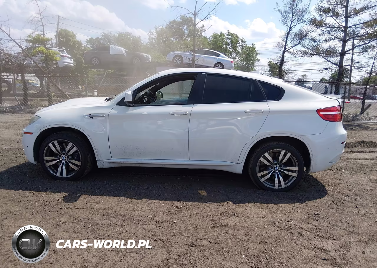 2013 BMW X6 M VIN:5YMGZ0C53DLL30190 - 14
