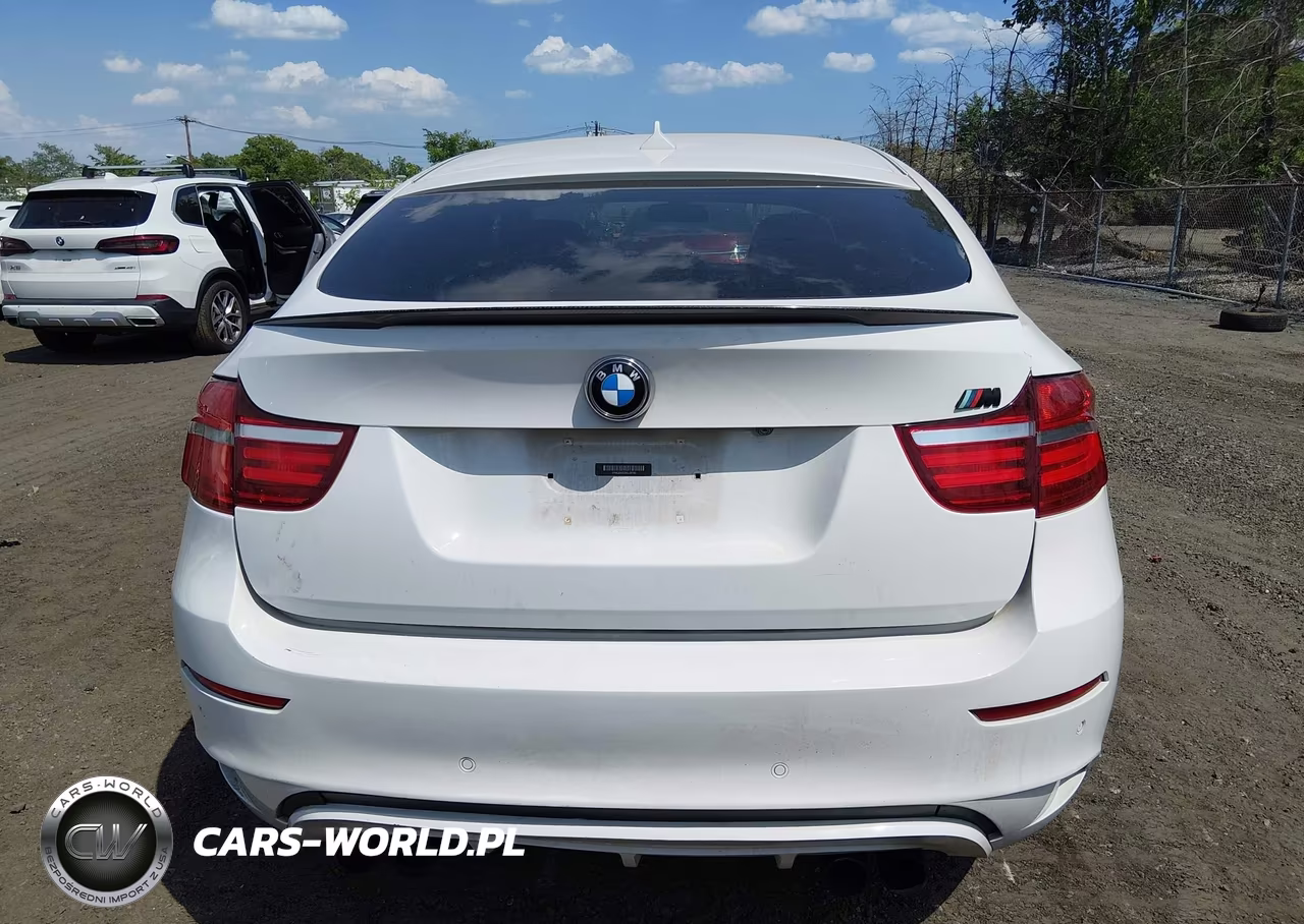 2013 BMW X6 M VIN:5YMGZ0C53DLL30190 - 16