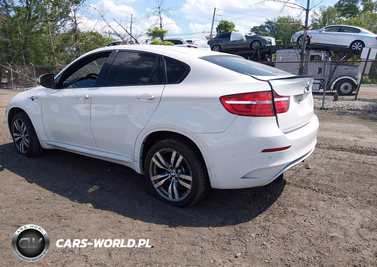 2013 BMW X6 M VIN:5YMGZ0C53DLL30190 - 3