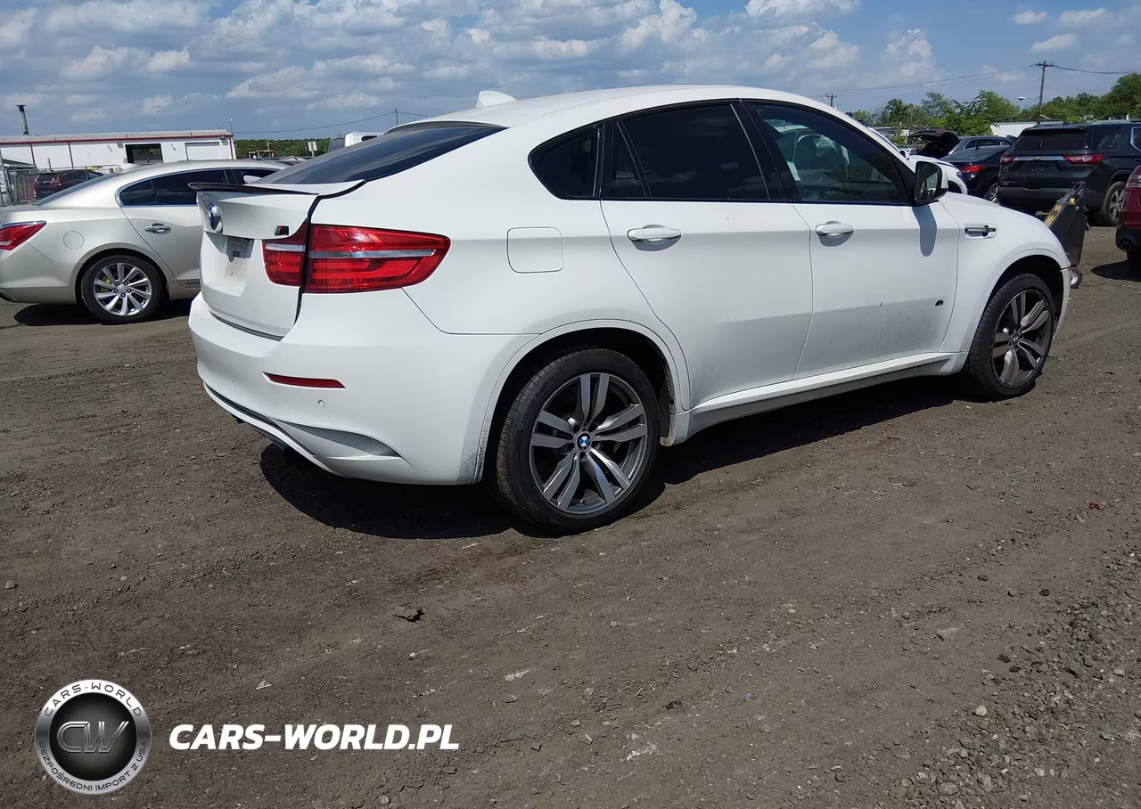 2013 BMW X6 M VIN:5YMGZ0C53DLL30190 - 4