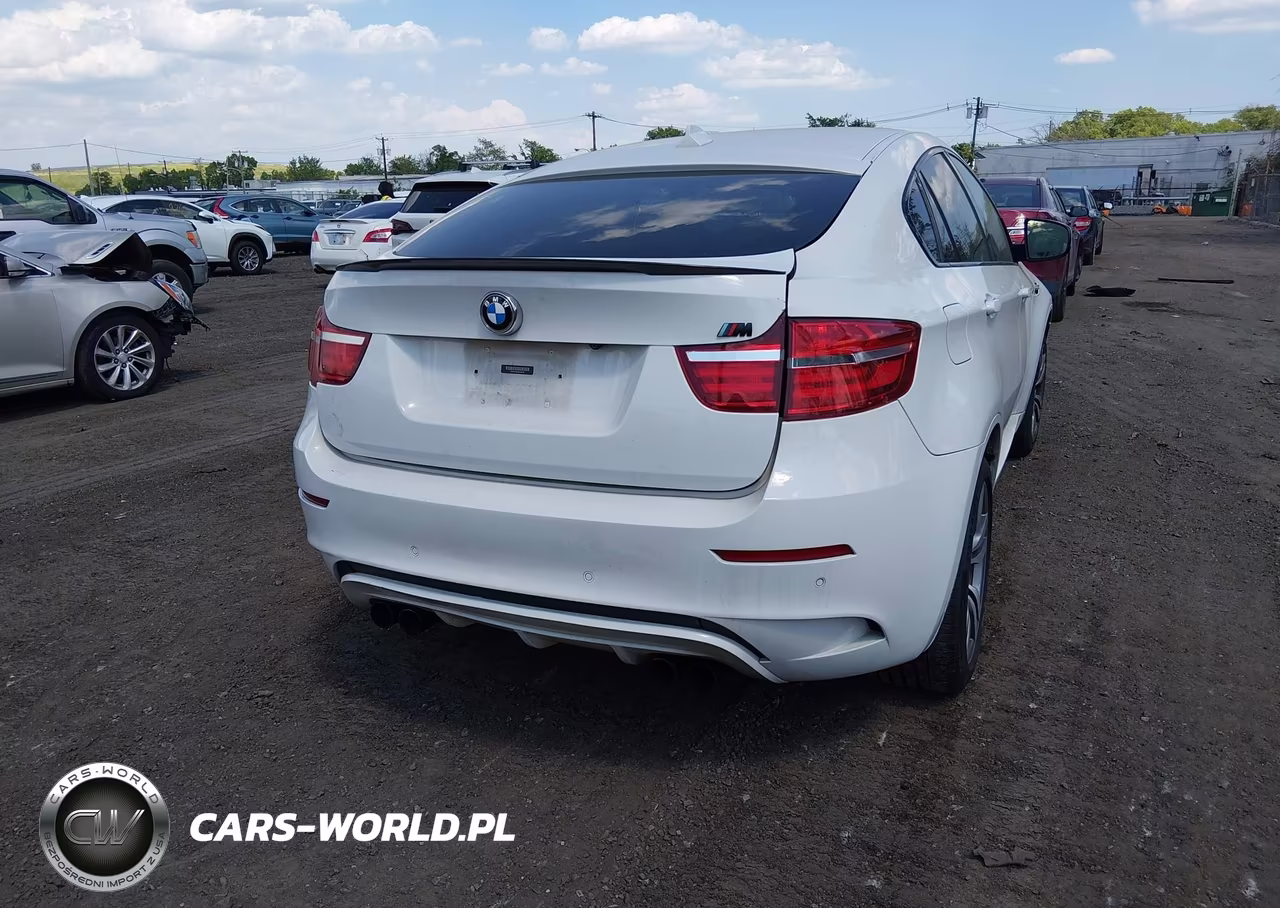2013 BMW X6 M VIN:5YMGZ0C53DLL30190 - 6