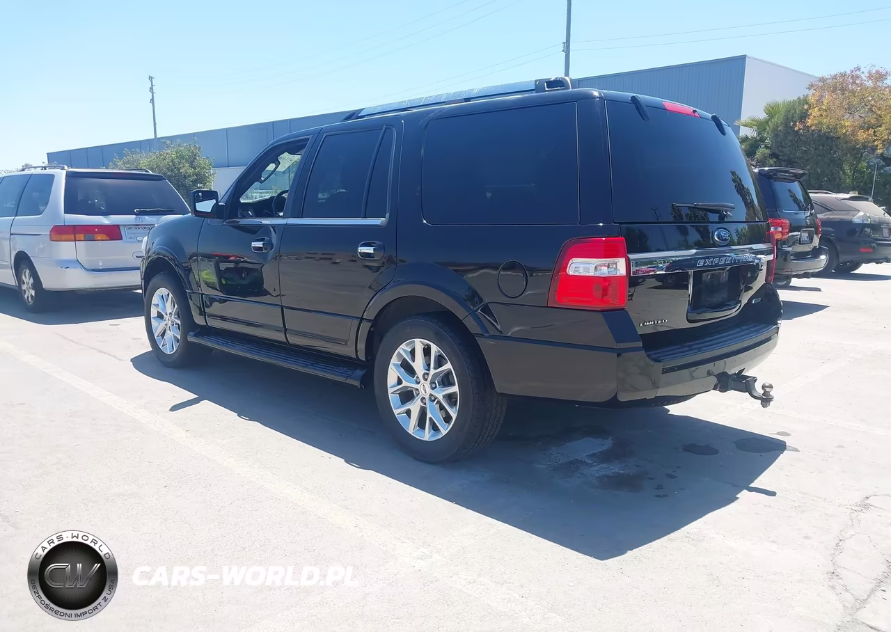 2016 Ford Expedition Limited VIN:1FMJU2AT6GEF52513 - 3