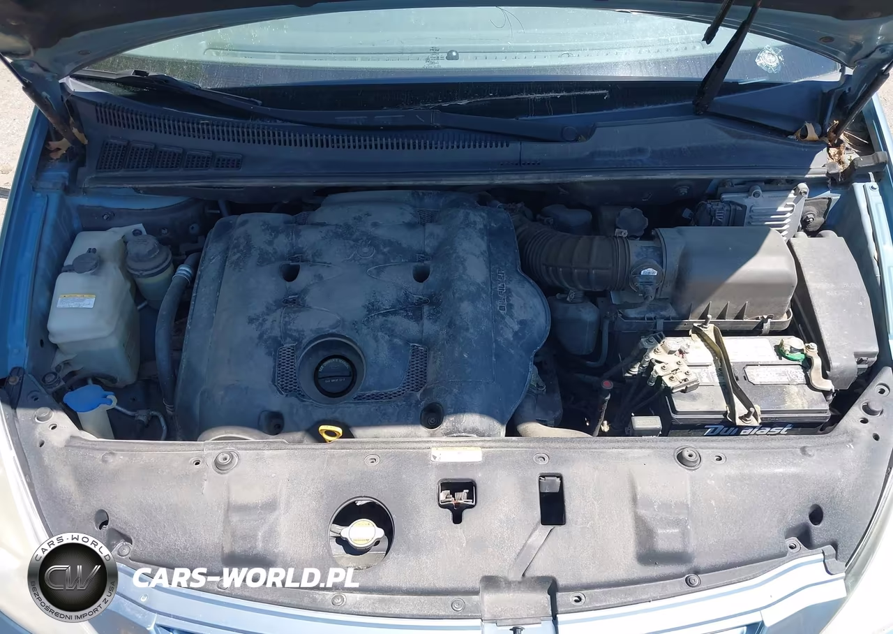 2008 Kia Sedona Lx VIN:KNDMB233386248782 - 10