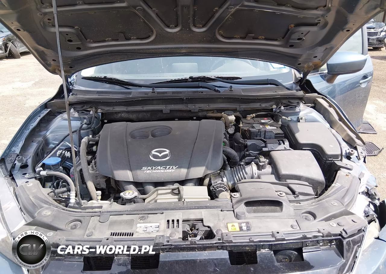 2016 Mazda Mazda3 I Sport VIN:3MZBM1U72GM315770 - 9
