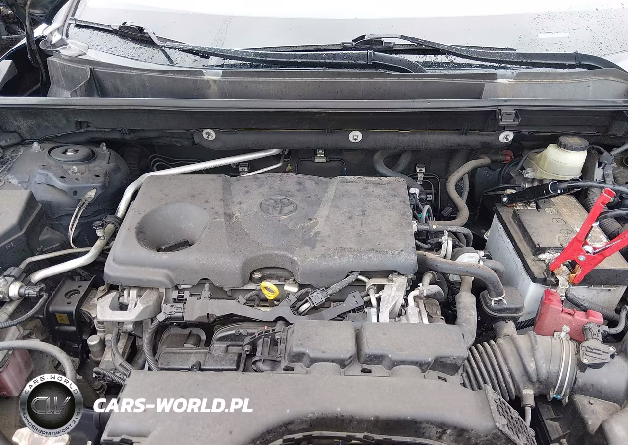 2019 Toyota Rav4 Xle VIN:JTMP1RFV2KD018580 - 10