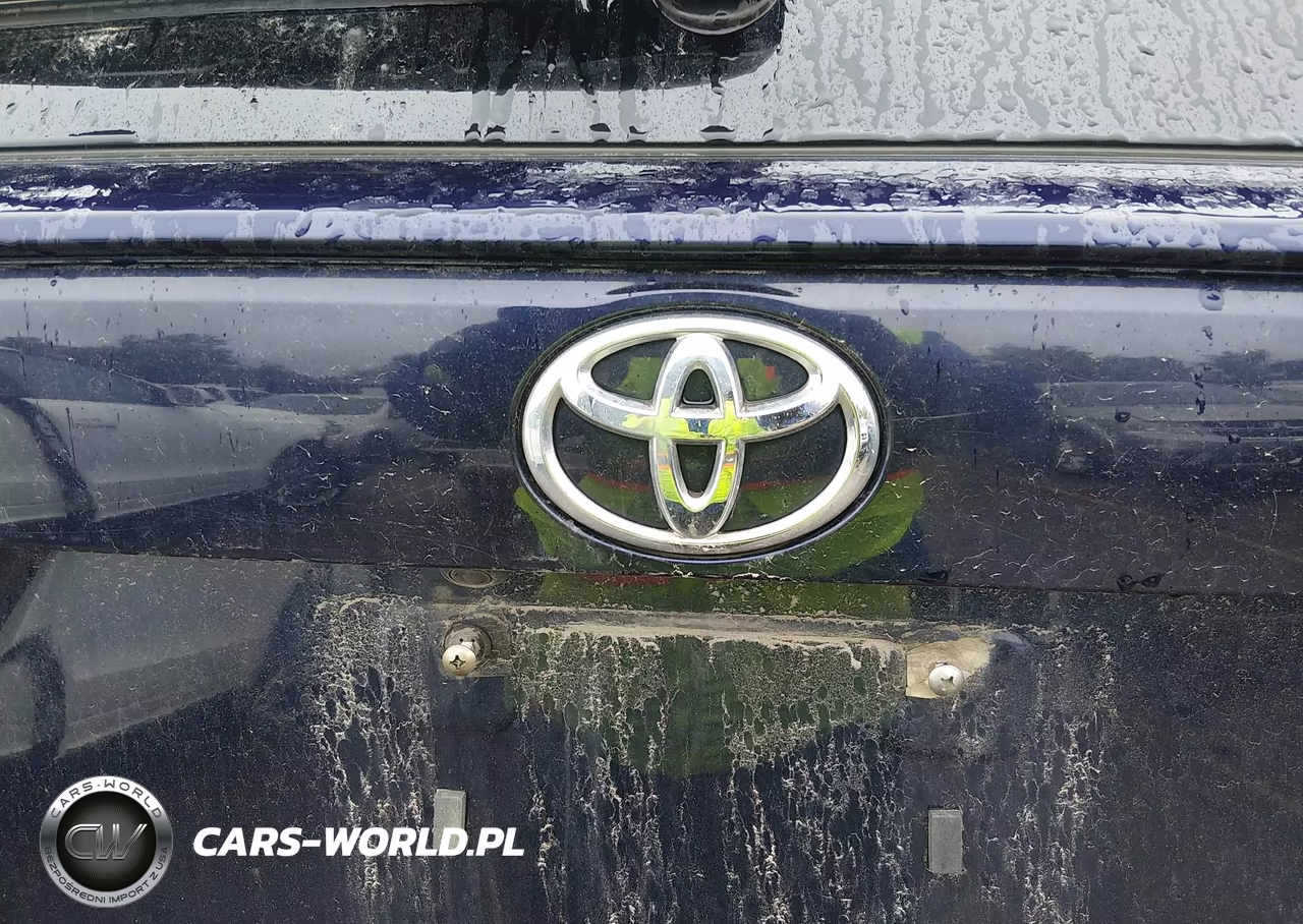 2019 Toyota Rav4 Xle VIN:JTMP1RFV2KD018580 - 19