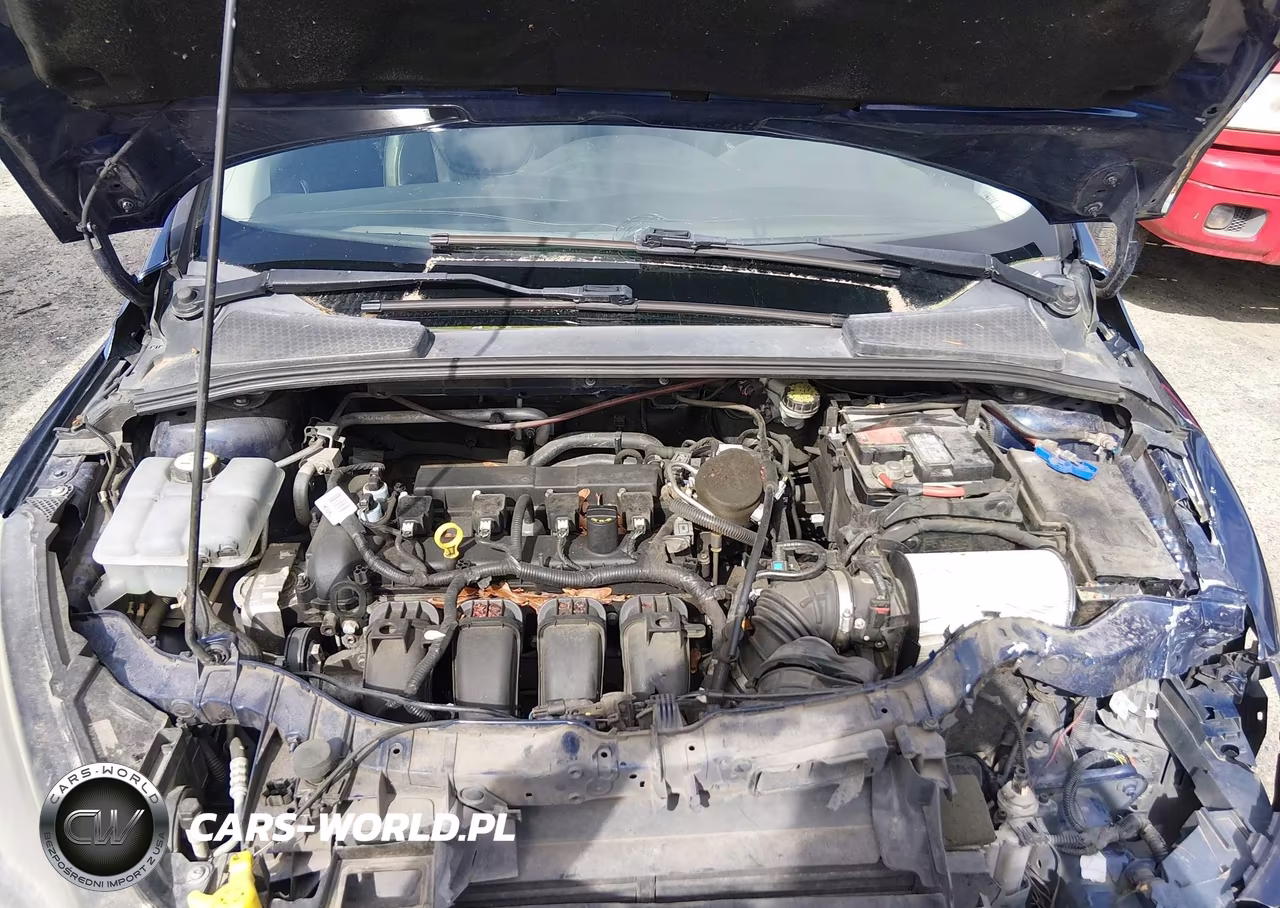 2016 Ford Focus Se VIN:1FADP3K20GL205538 - 10