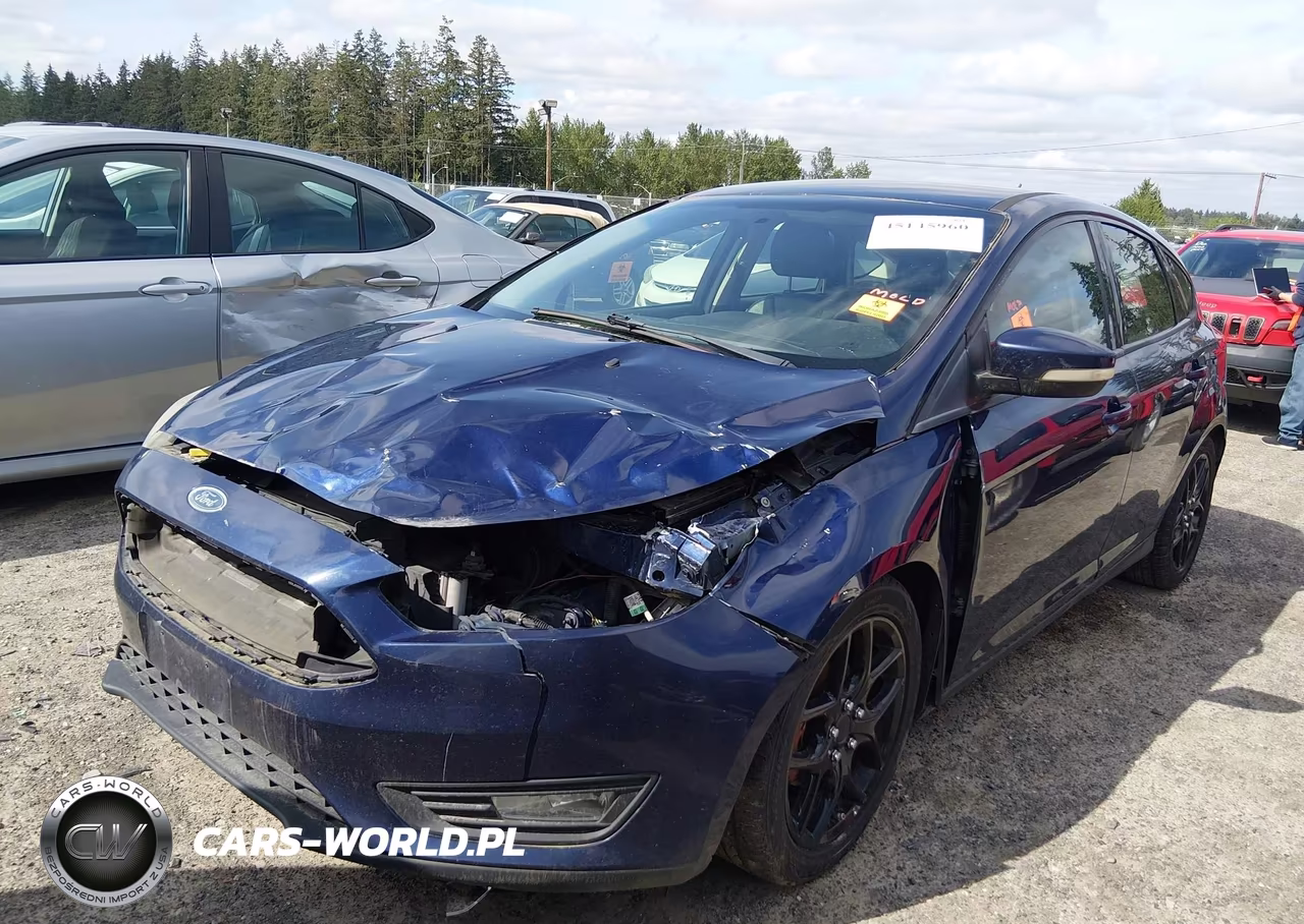 2016 Ford Focus Se VIN:1FADP3K20GL205538 - 2