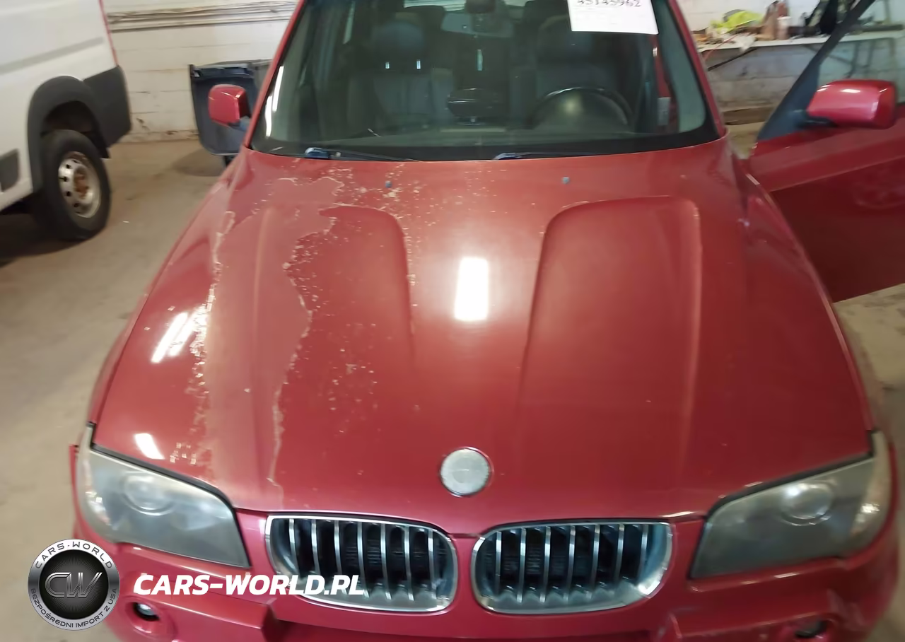 2005 BMW X3 3.0I VIN:WBXPA93465WD07391 - 10