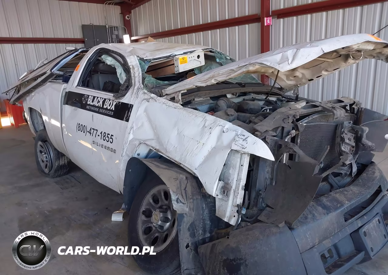2010 Chevrolet Silverado 1500 Work Truck VIN:1GCPCPEX2AZ134462 - 6
