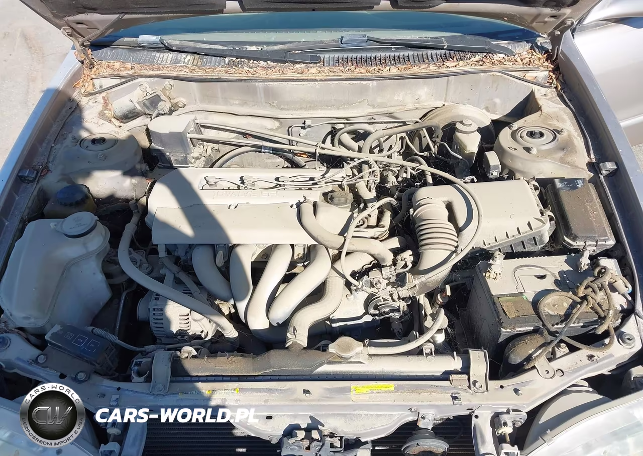 1998 Toyota Corolla Le VIN:2T1BR18EXWC042002 - 10