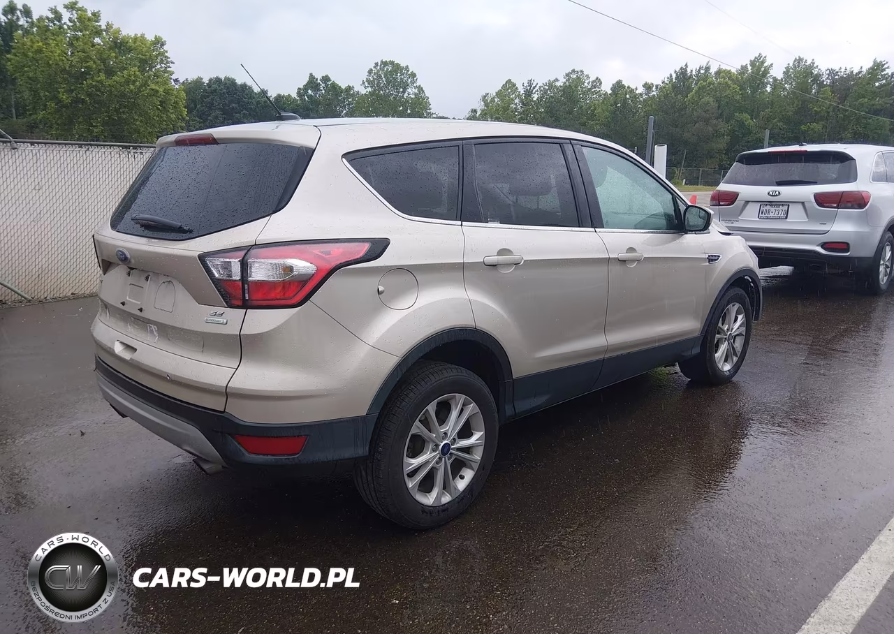 2017 Ford Escape Se VIN:1FMCU0GDXHUC86546 - 4