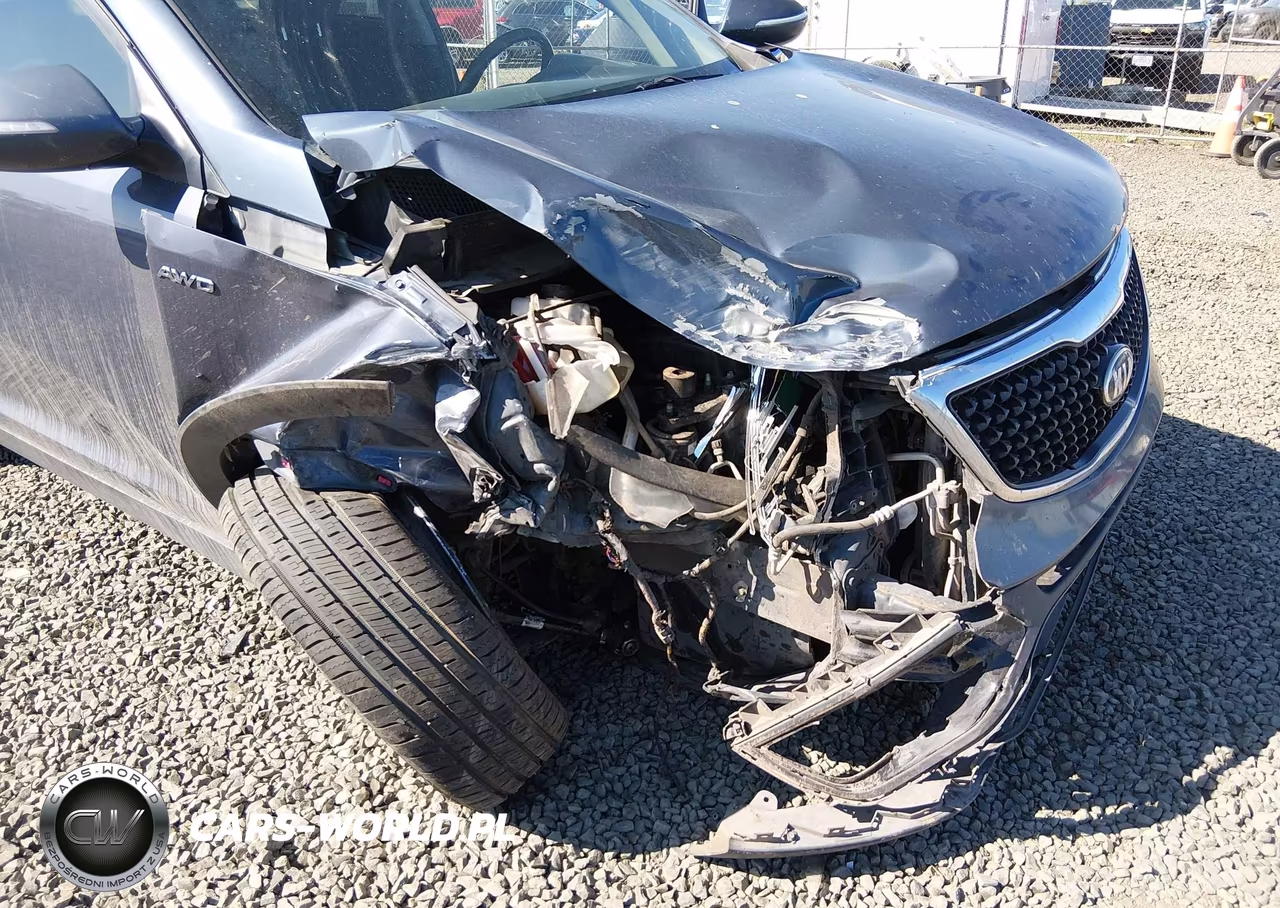 2014 Kia Sportage Ex VIN:KNDPCCAC5E7647847 - 6