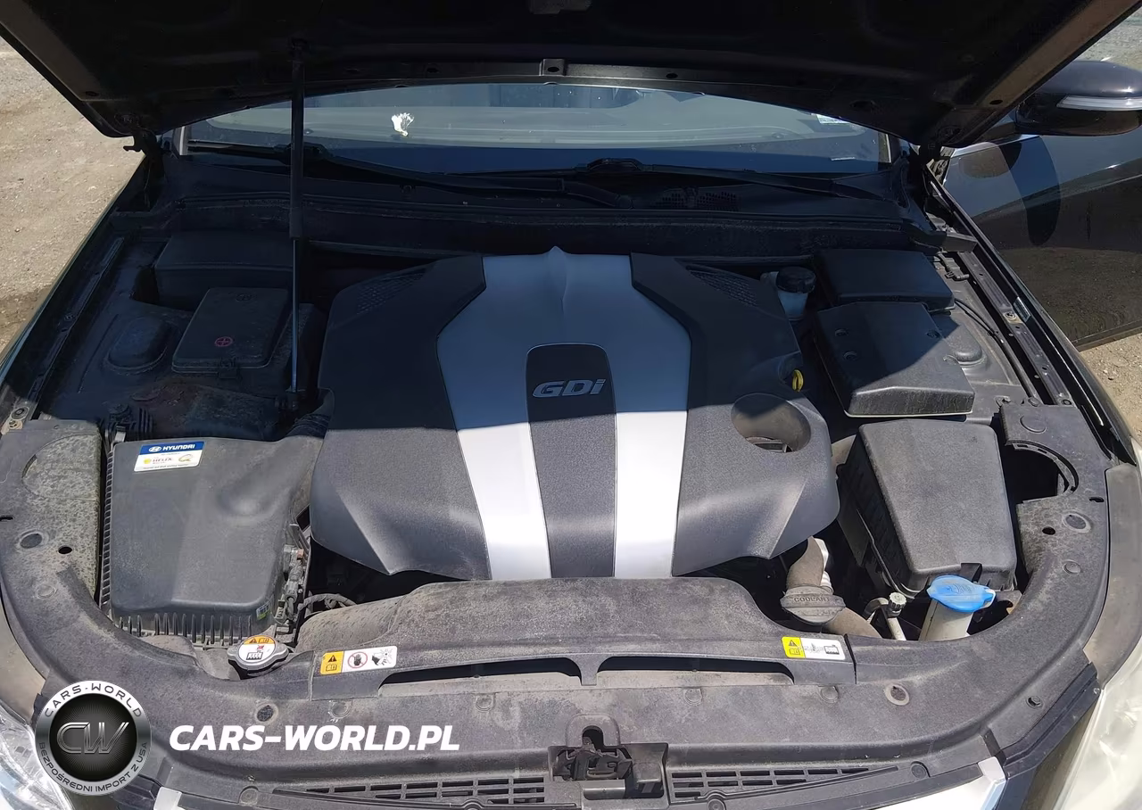 2014 Hyundai Genesis 3.8 VIN:KMHGC4DD3EU265176 - 10