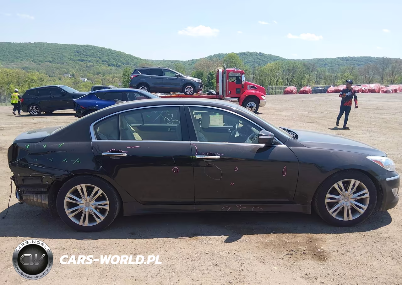 2014 Hyundai Genesis 3.8 VIN:KMHGC4DD3EU265176 - 13