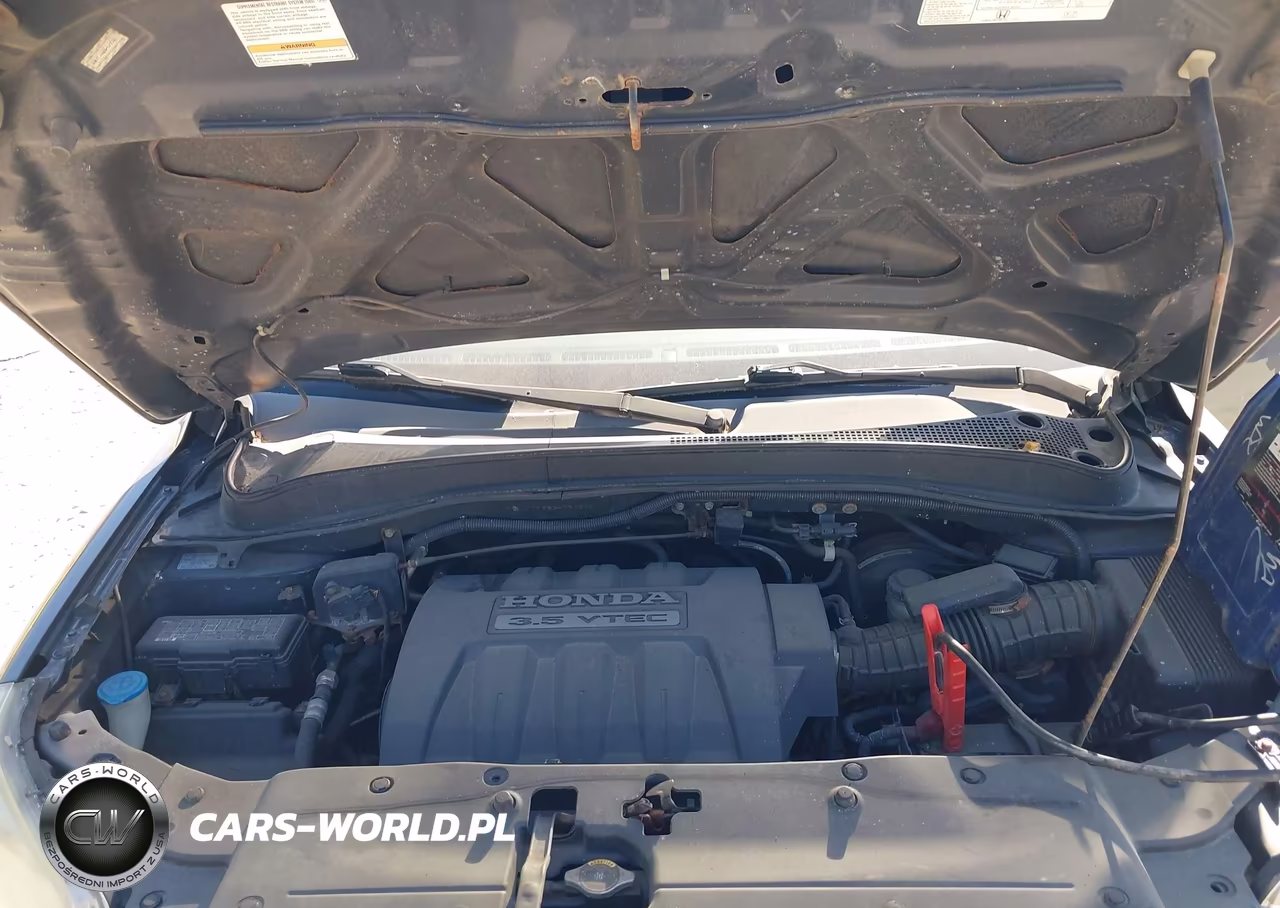 2004 Honda Pilot Ex-L VIN:2HKYF18686H529322 - 10