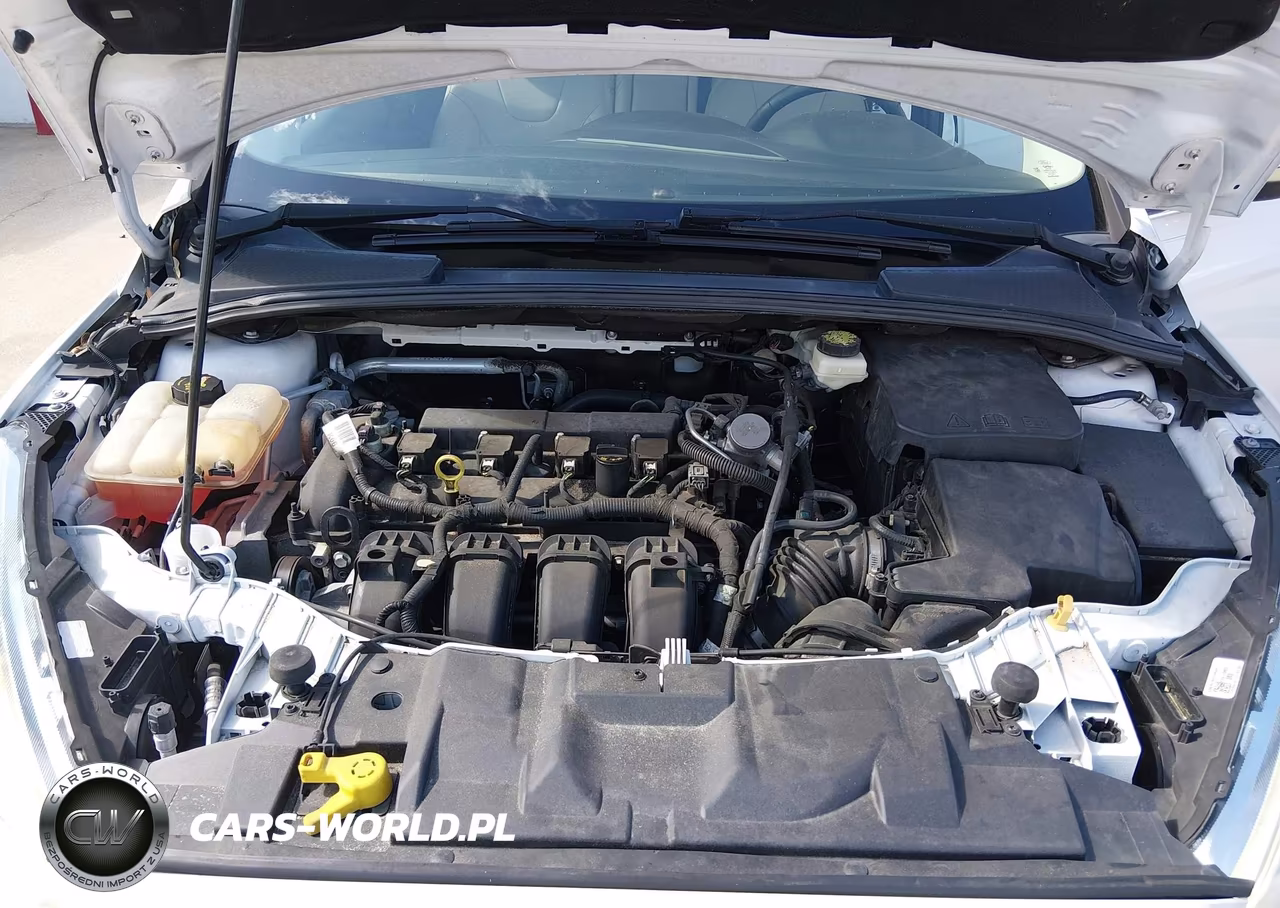 2017 Ford Focus Titanium VIN:1FADP3N23HL212948 - 10