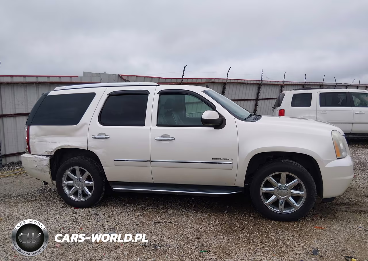 2009 GMC Yukon Denali VIN:1GKFK03249R303801 - 13