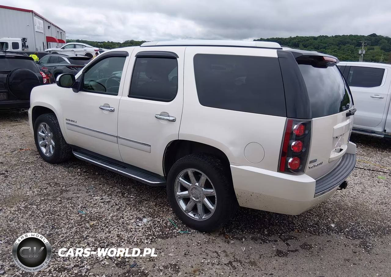 2009 GMC Yukon Denali VIN:1GKFK03249R303801 - 3