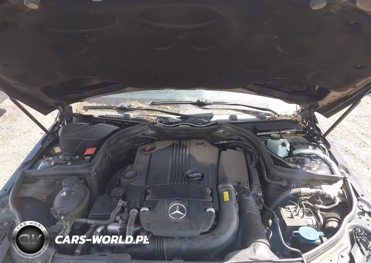 2013 Mercedes-Benz C 250 VIN:WDDGJ4HB4DG033319 - 10