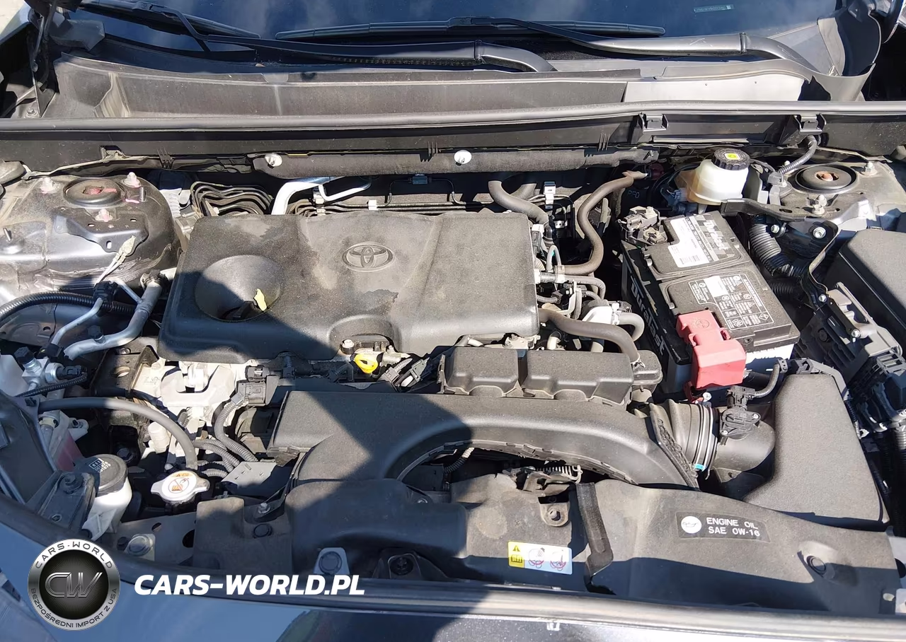 2019 Toyota Rav4 Le VIN:JTMG1RFV9KD017460 - 10