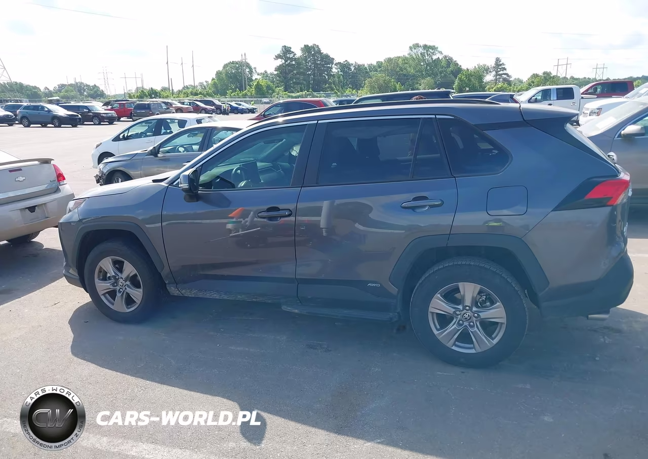 2025 Toyota Rav4 Hybrid Xle VIN:4T3RWRFV0SU173948 - 13