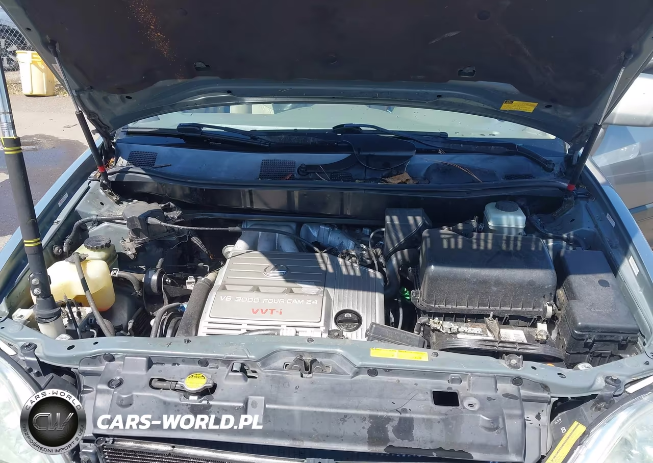 2001 Lexus Rx 300 VIN:JTJGF10U710116011 - 10