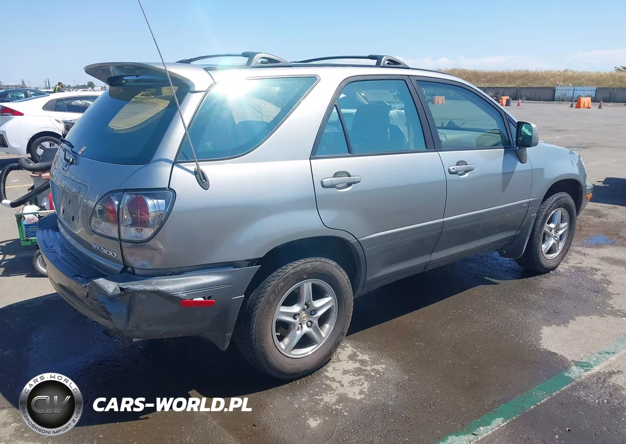 2001 Lexus Rx 300 VIN:JTJGF10U710116011 - 4