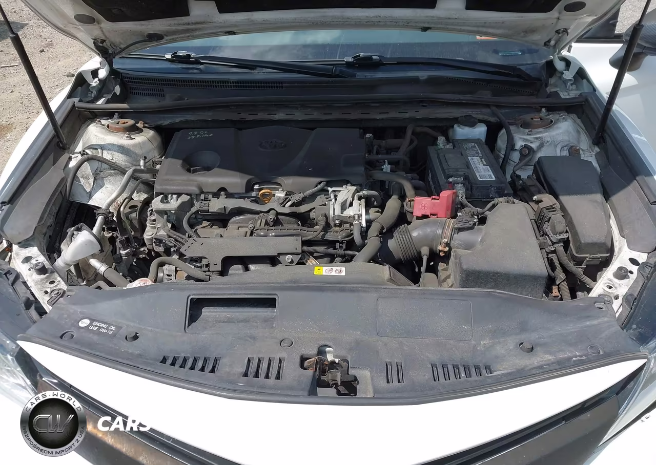 2019 Toyota Camry Le VIN:4T1B11HK9KU830968 - 10