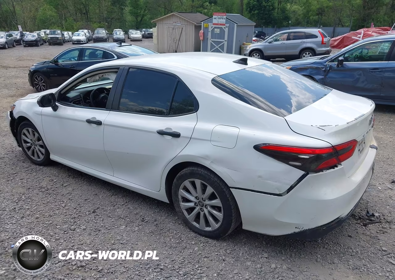 2019 Toyota Camry Le VIN:4T1B11HK9KU830968 - 3