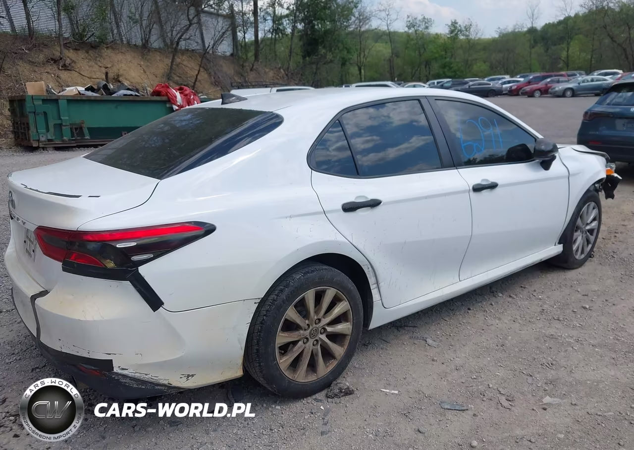2019 Toyota Camry Le VIN:4T1B11HK9KU830968 - 4
