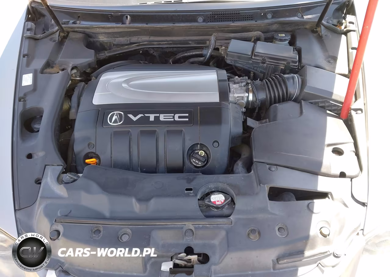 2005 Acura Rl 3.5 VIN:JH4KB16575C019709 - 10