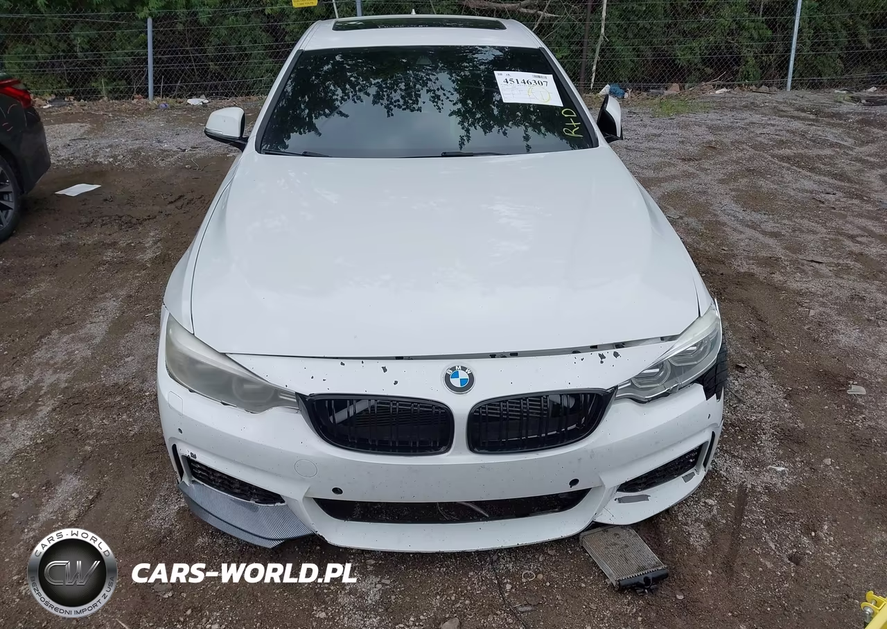 2014 BMW 435I VIN:WBA3R1C56EF729363 - 17
