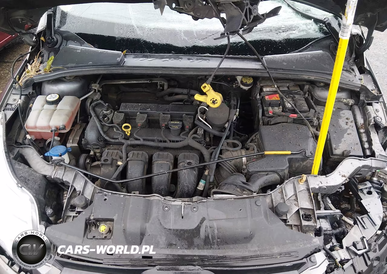 2013 Ford Focus Se VIN:1FADP3K20DL171192 - 10