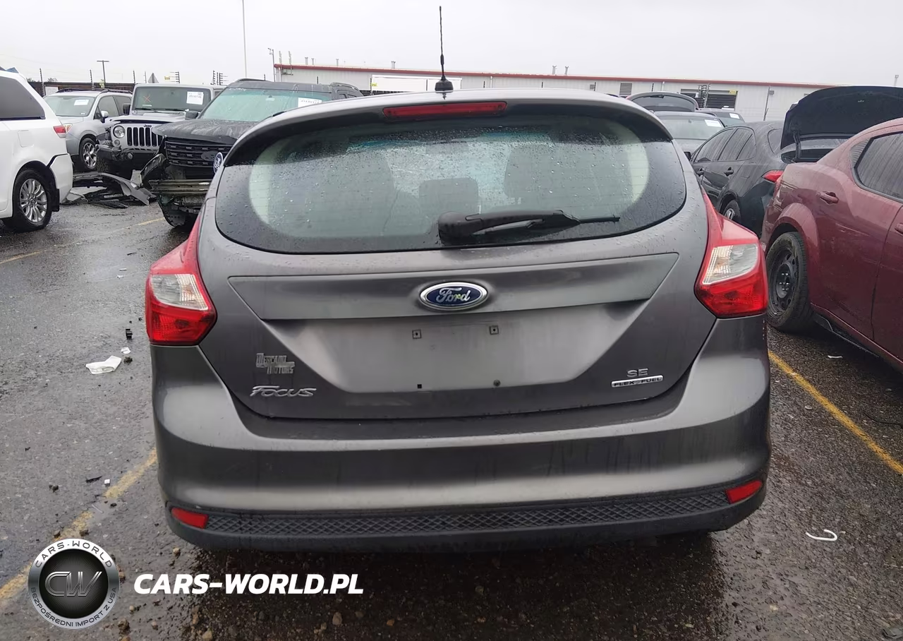 2013 Ford Focus Se VIN:1FADP3K20DL171192 - 17