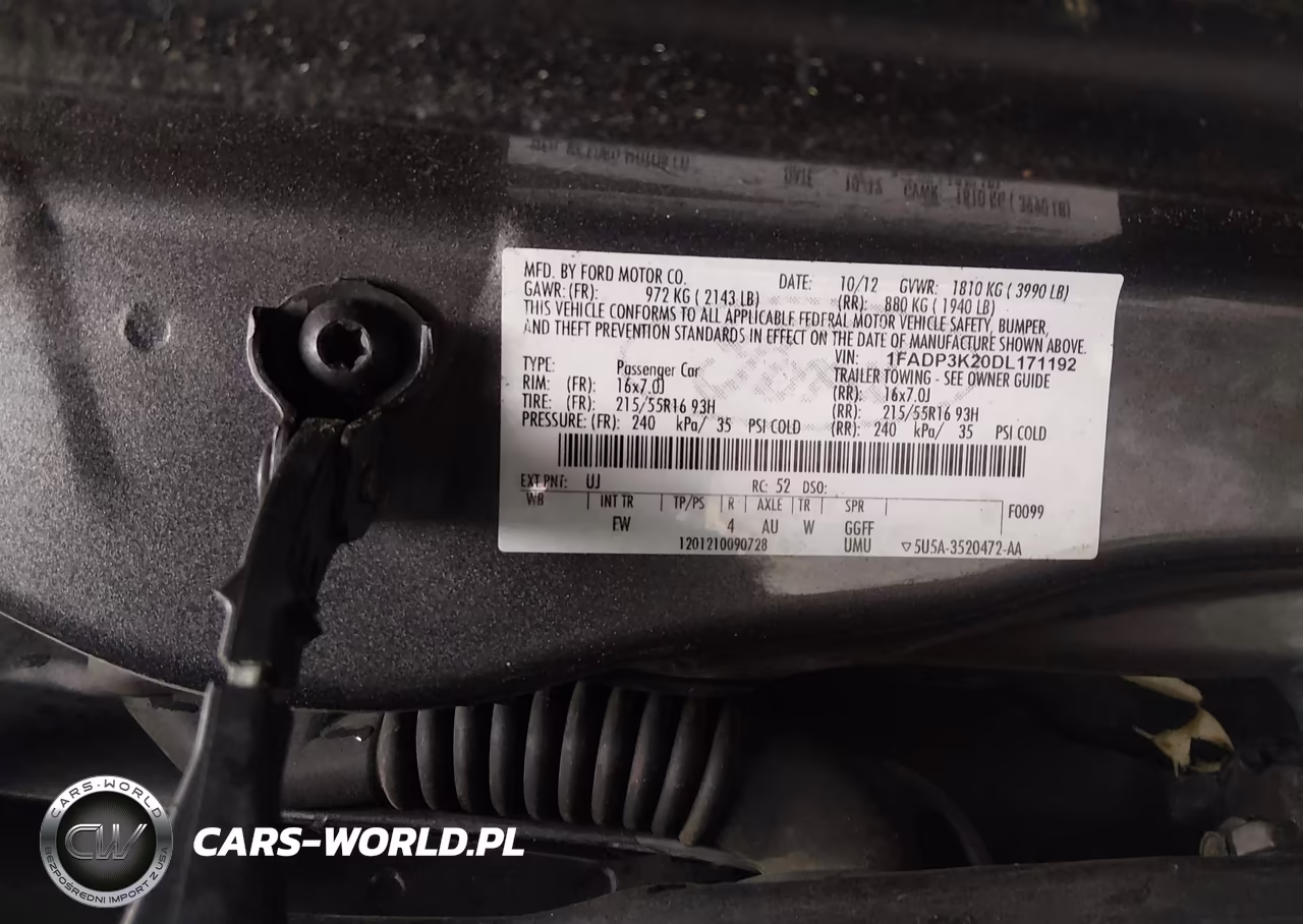 2013 Ford Focus Se VIN:1FADP3K20DL171192 - 9
