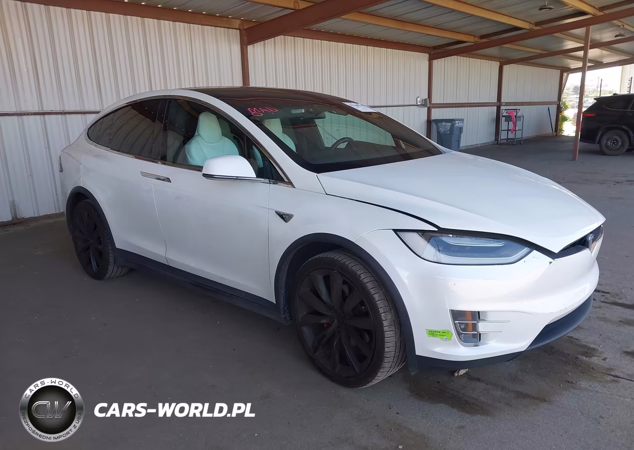 2019 Tesla Model X P100D-Performance