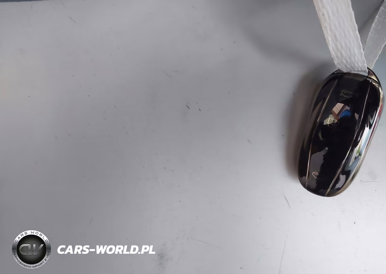 2019 Tesla Model X P100D-Performance VIN:5YJXCBE46KF181932 - 11