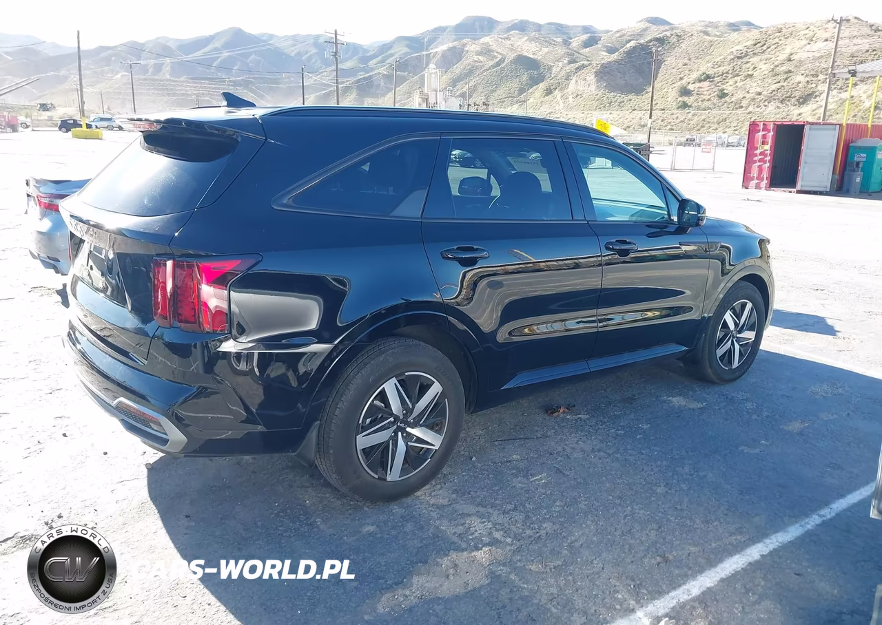 2023 Kia Sorento S VIN:5XYRL4LC3PG226842 - 13