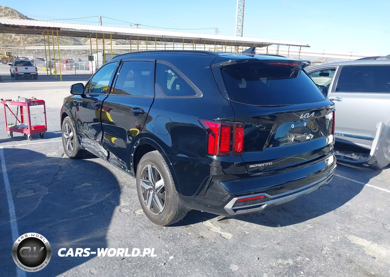 2023 Kia Sorento S VIN:5XYRL4LC3PG226842 - 3